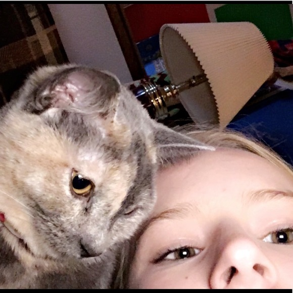 Meet your Posher, Kodi - Picture 1 of 1